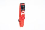 Tailpetz Prism Boyun Tasması Medium - Görsel 5