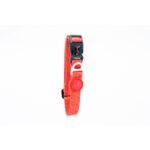 Tailpetz Prism Boyun Tasması Small - Görsel 2