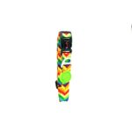 Tailpetz Rainbow Boyun Tasması Large - Görsel 2