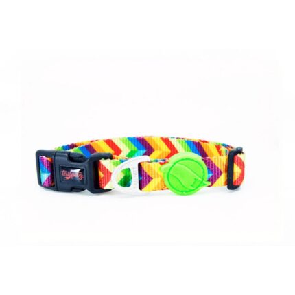 Tailpetz Rainbow Boyun Tasması Large