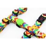 Tailpetz Rainbow Göğüs Tasmasi Large - Görsel 2