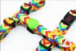 Tailpetz Rainbow Göğüs Tasmasi Medium - Görsel 5