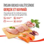 Wanpy Crunchy Pockets Catnipli ve Tavuklu Kedi Ödül Maması 60 gr - Görsel 3