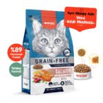 Wanpy Tahılsız Somonlu Yetişkin Kedi Maması 1