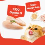 Wanpy Tavuklu Kaşık Krema Kedi Ödül Maması 10x16gr - Görsel 3
